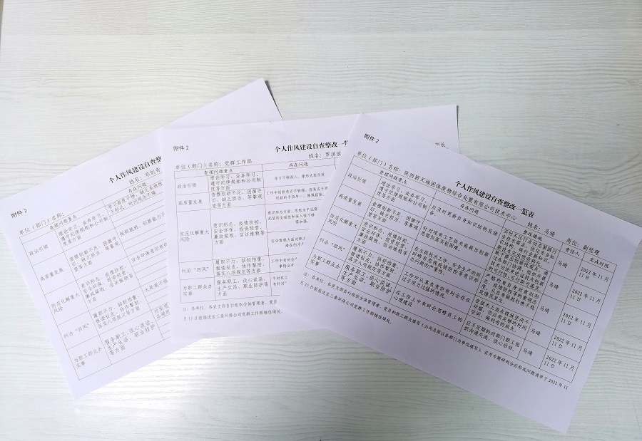 4黨員作風(fēng)自查自糾，填寫《個人作風(fēng)建設(shè)自查整改一覽表》.jpg